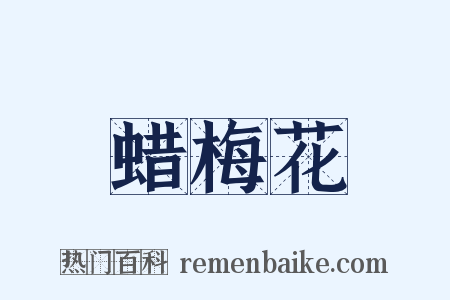 蜡梅花是什么意思的图片